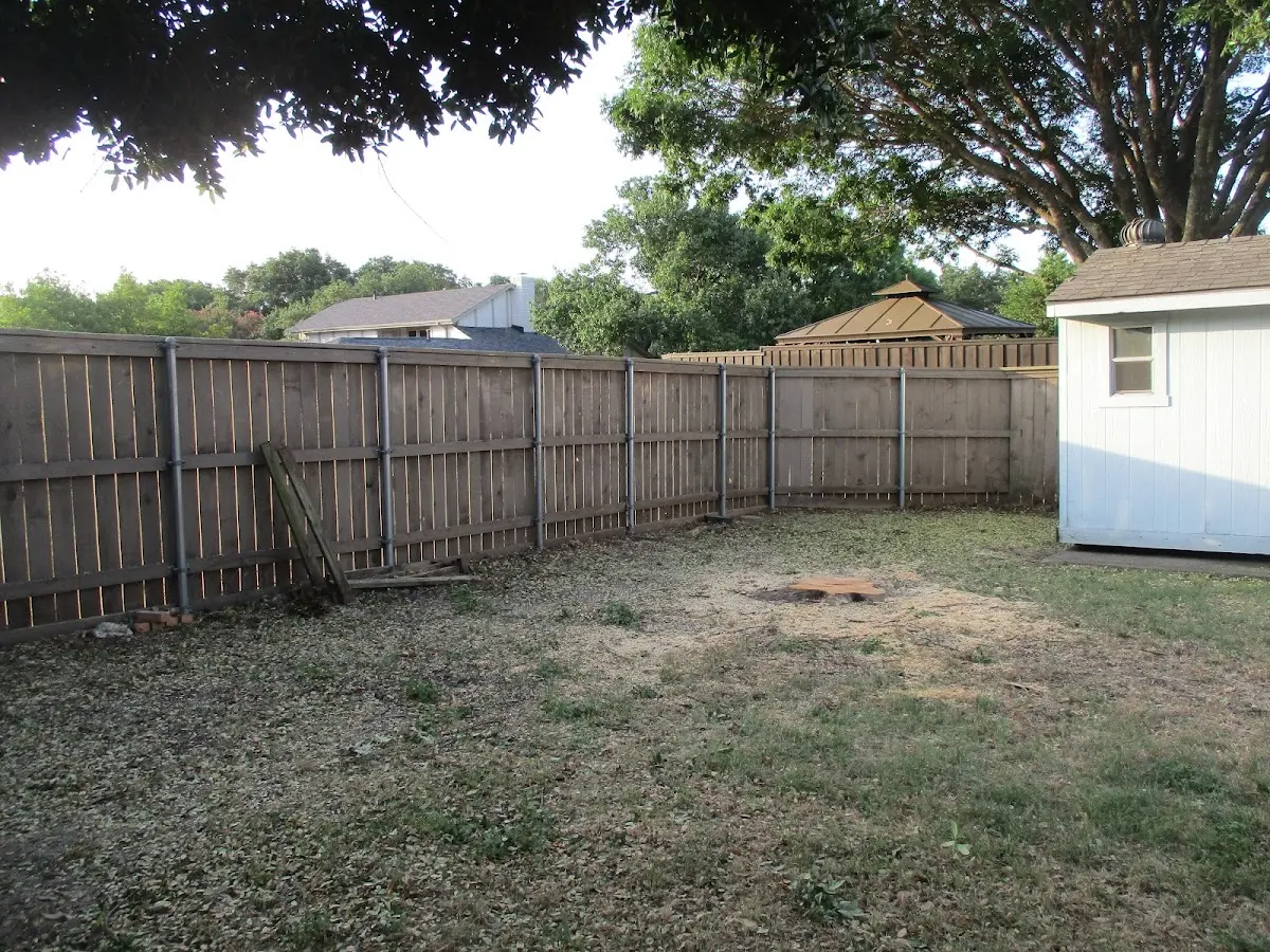 Cleared yard after professional tree removal in Pilgrims Knob